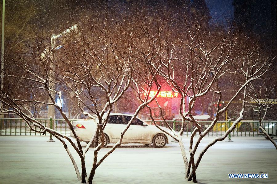 CHINA-HEILONGJIANG-HARBIN-NIEVE