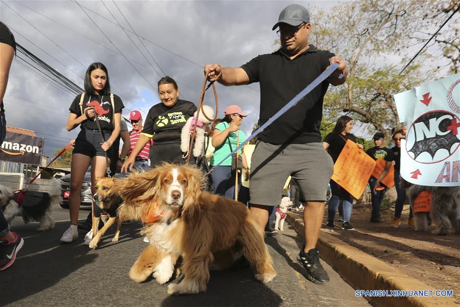 HONDURAS-TEGUCIGALPA-PROTESTA-PROTECCION ANIMAL