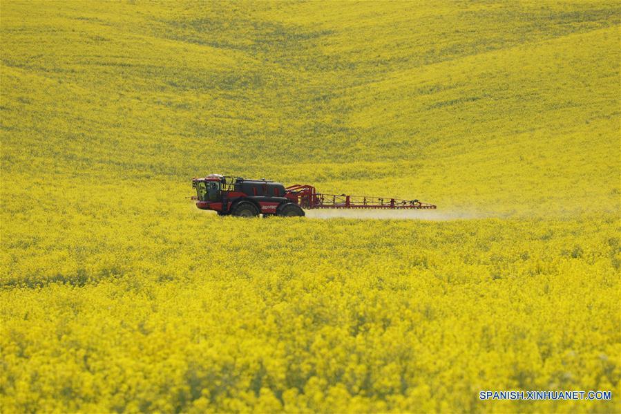 REINO UNIDO-OXFORDSHIRE-COVID-19-TRABAJO AGRICOLA