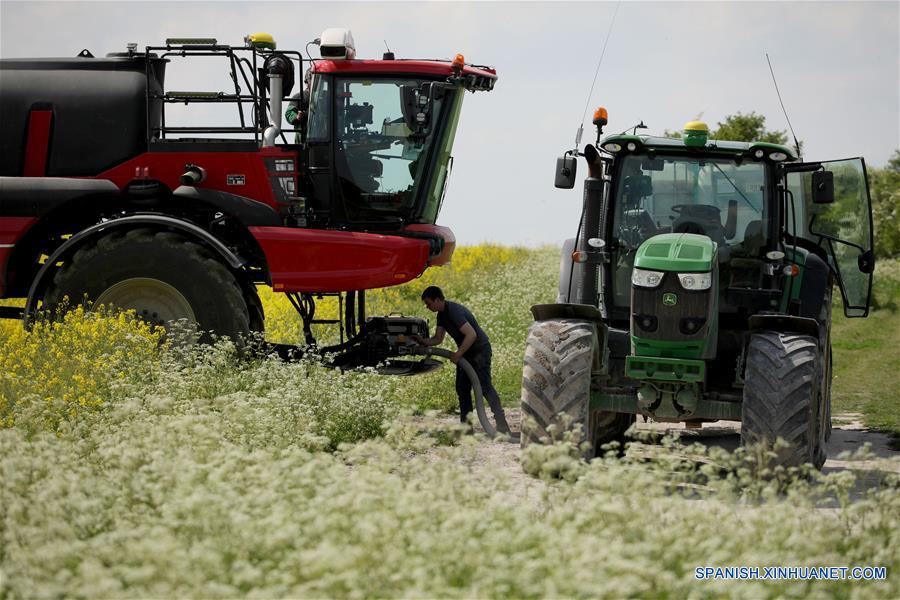 REINO UNIDO-OXFORDSHIRE-COVID-19-TRABAJO AGRICOLA