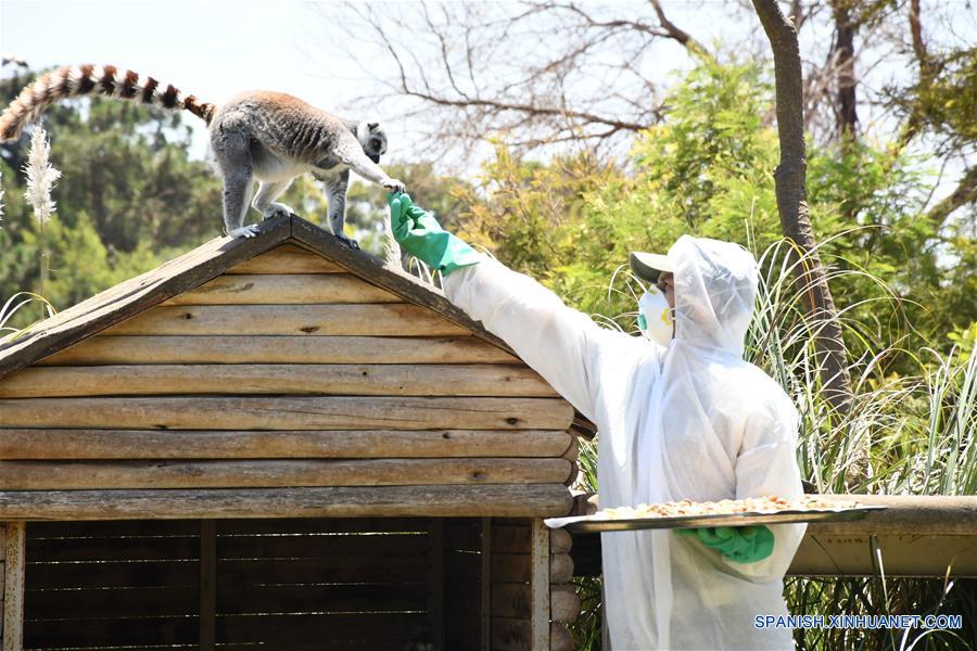 MARRUECOS-RABAT-COVID-19-ZOOLOGICO