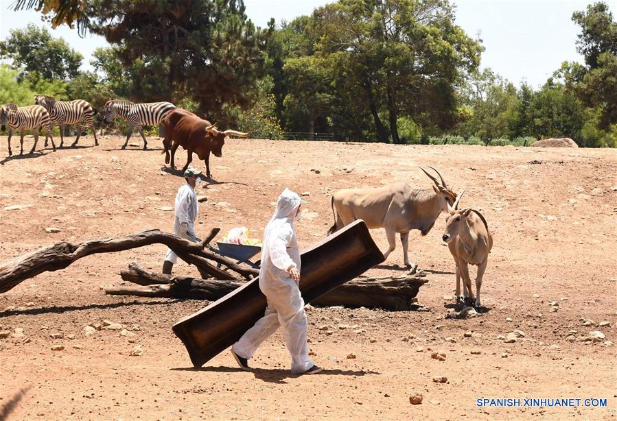 MARRUECOS-RABAT-COVID-19-ZOOLOGICO