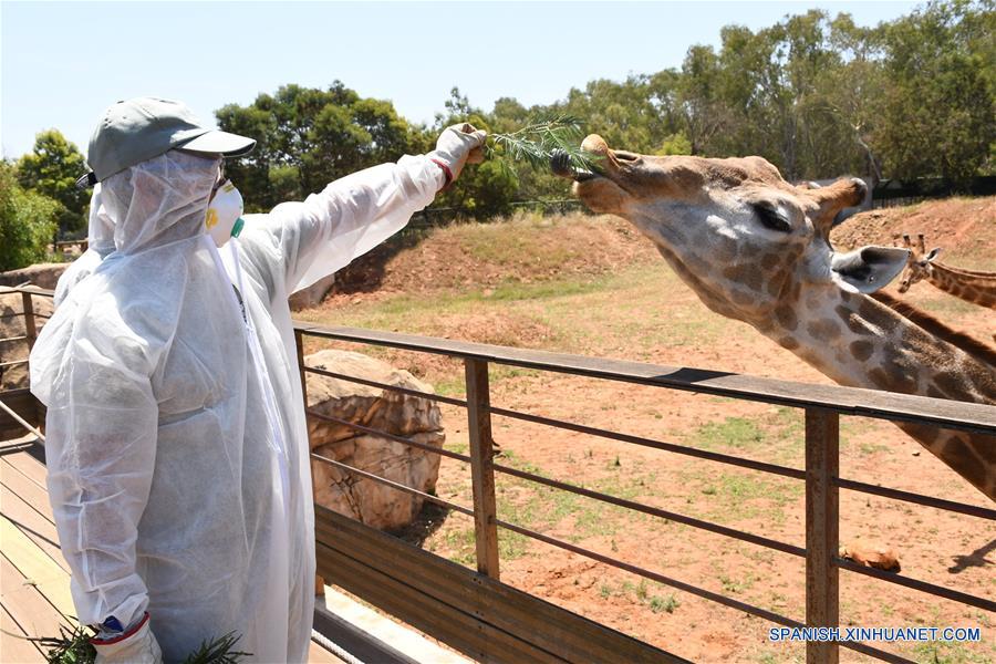 MARRUECOS-RABAT-COVID-19-ZOOLOGICO