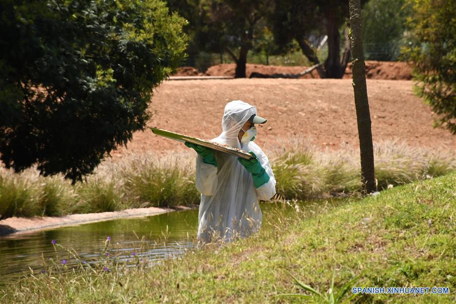 MARRUECOS-RABAT-COVID-19-ZOOLOGICO