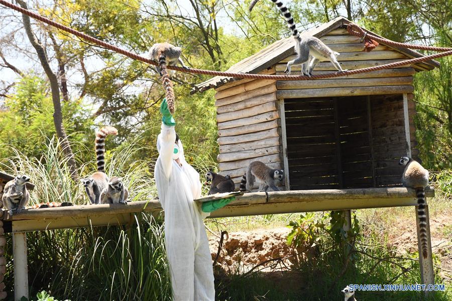 MARRUECOS-RABAT-COVID-19-ZOOLOGICO