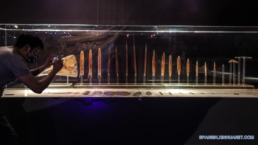 CHINA-LIAONING-DALIAN-CACHALOTE-ESPECIMEN PLASTINADO-EXPOSICION