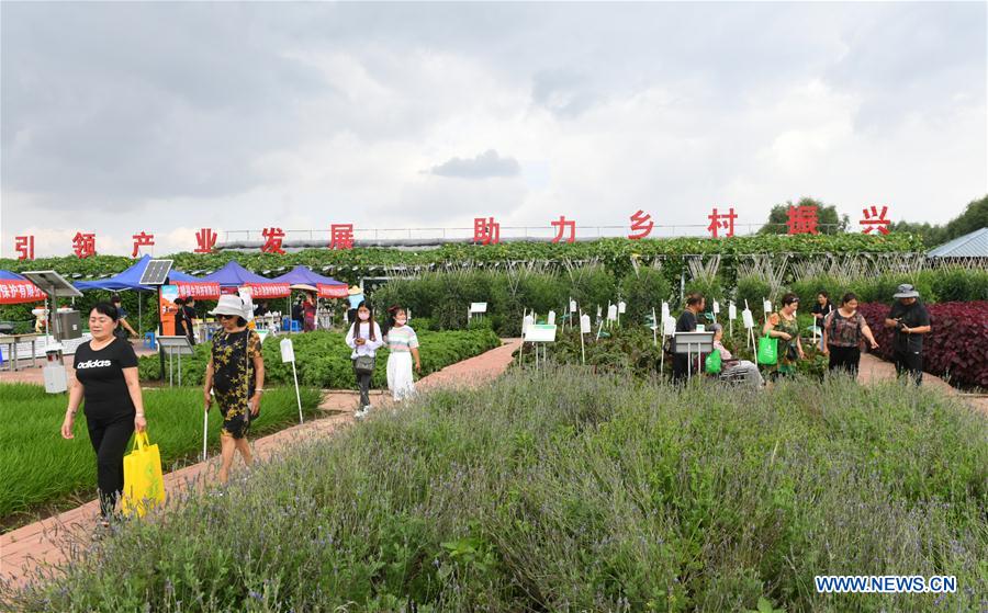CHINA-JILIN-CHANGCHUN-EXPOSICION DE AGRICULTURA Y ALIMENTOS