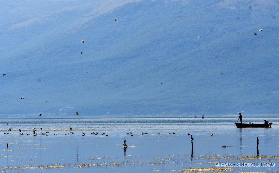 MACEDONIA DEL NORTE-LAGO PRESPA-AVES MIGRATORIAS