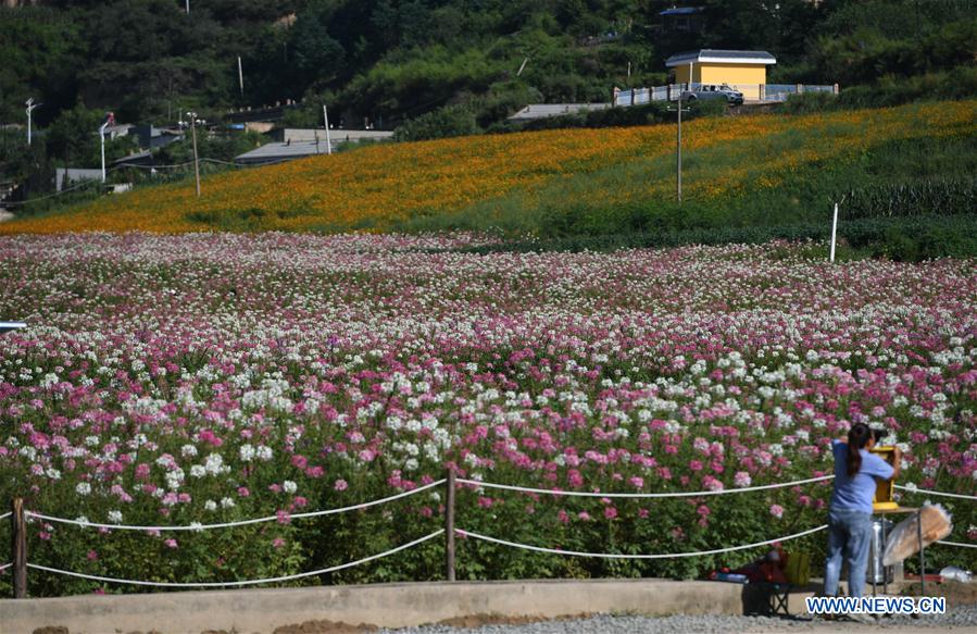 CHINA-SHAANXI-YAN'AN-AREA ESCENICA DE NANNIWAN