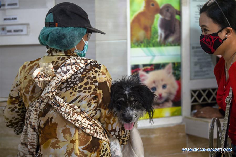 INDONESIA-YAKARTA-HOSPITAL VETERINARIO