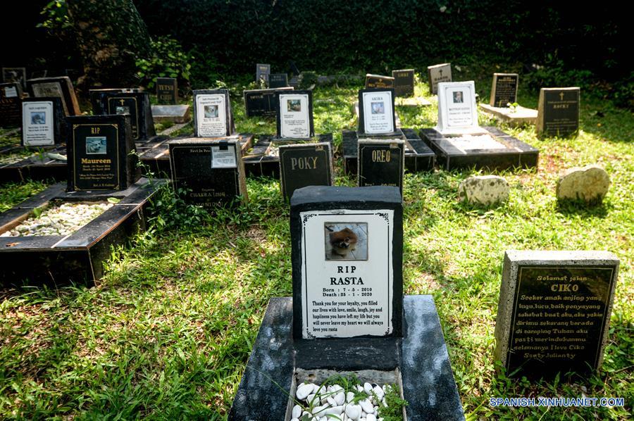 INDONESIA-YAKARTA-HOSPITAL VETERINARIO