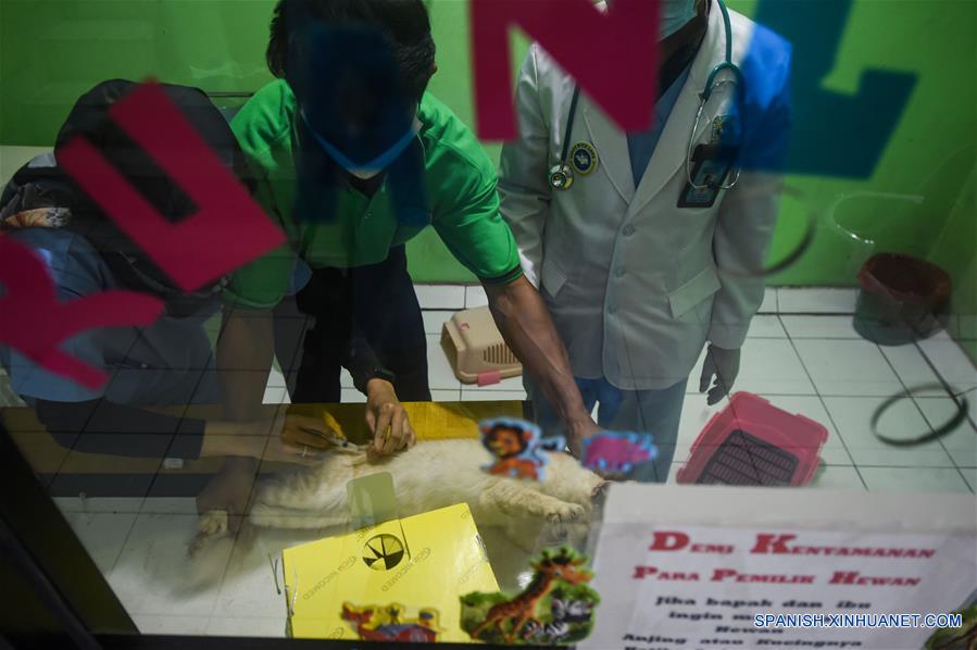 INDONESIA-YAKARTA-HOSPITAL VETERINARIO