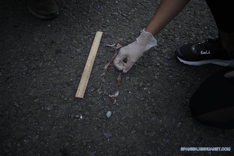 PANAMA-CIUDAD DE PANAMA-MONITOREO-FAUNA