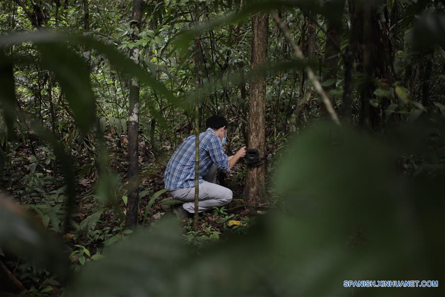 PANAMA-CIUDAD DE PANAMA-MONITOREO-FAUNA