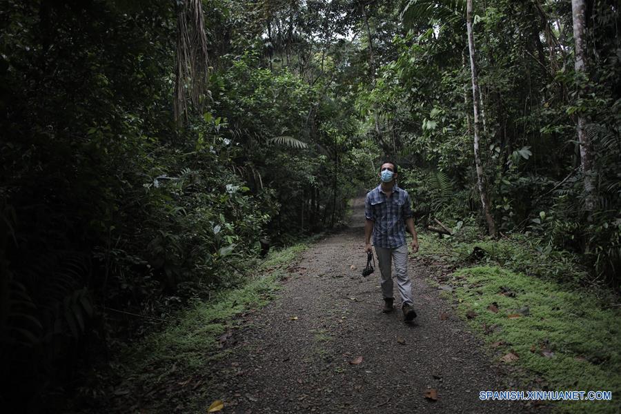 PANAMA-CIUDAD DE PANAMA-MONITOREO-FAUNA