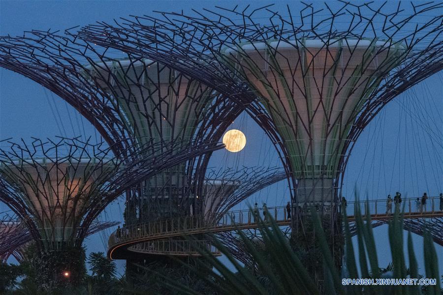 SINGAPUR-SINGAPUR-FESTIVAL DE MEDIO OTO&Ntilde;O-LUNA LLENA