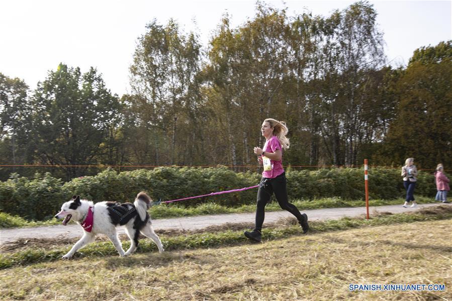 RUSIA-MOSCU-CARRERA CON PERROS