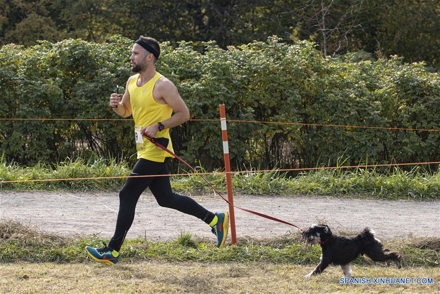 RUSIA-MOSCU-CARRERA CON PERROS
