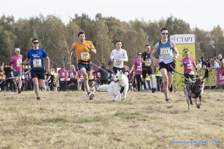 RUSIA-MOSCU-CARRERA CON PERROS