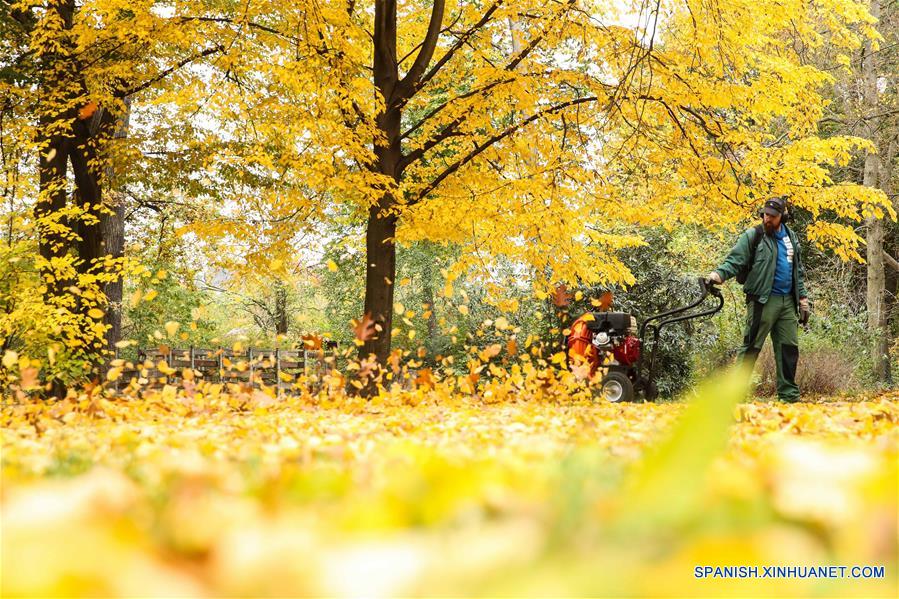 ALEMANIA-BERLIN-OTOÑO