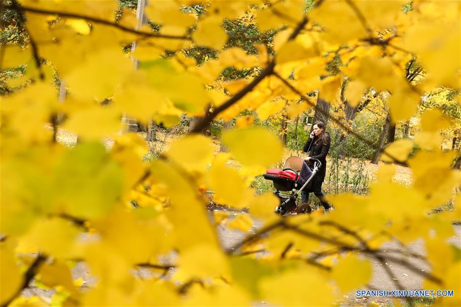 ALEMANIA-BERLIN-OTOÑO