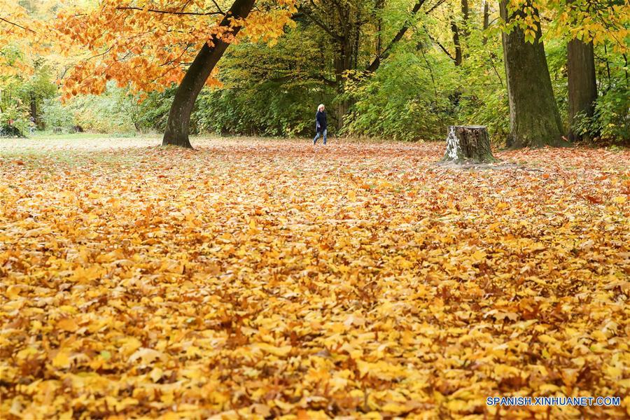 ALEMANIA-BERLIN-OTOÑO