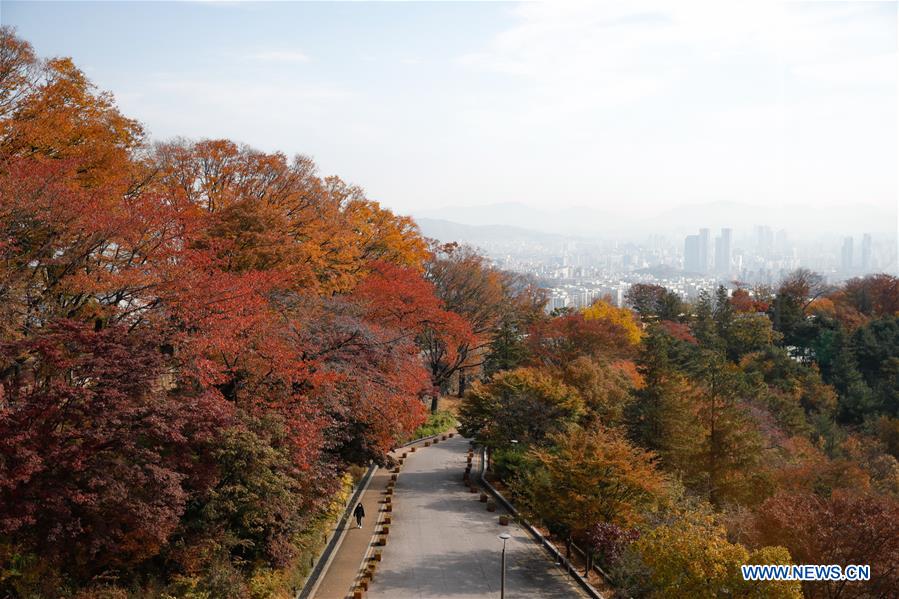 REPUBLICA DE COREA-SEUL-PAISAJE DE OTO&Ntilde;O