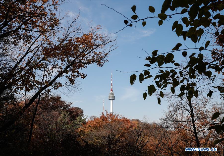 REPUBLICA DE COREA-SEUL-PAISAJE DE OTO&Ntilde;O