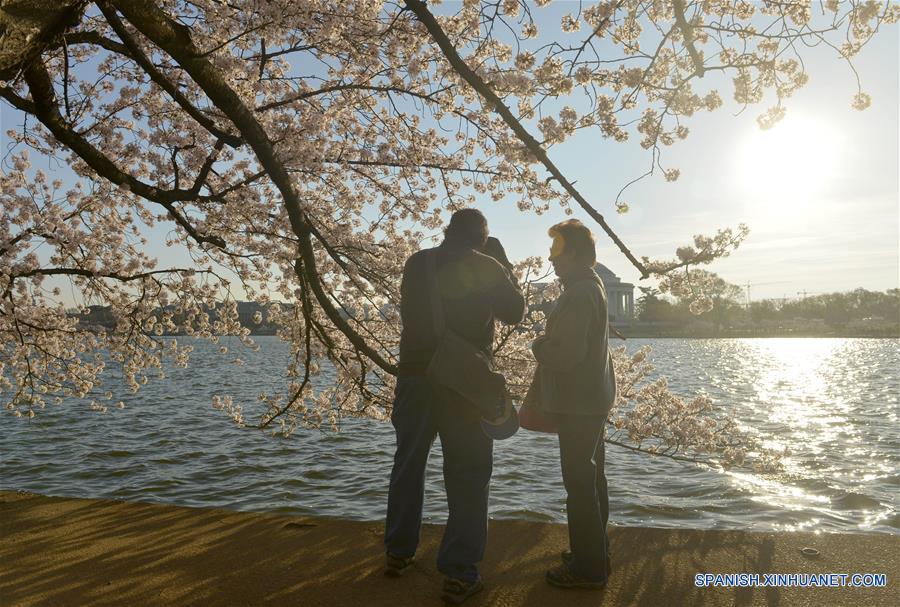 U.S.- WASHINGTON D.C.-CHERRY BLOSSOMS