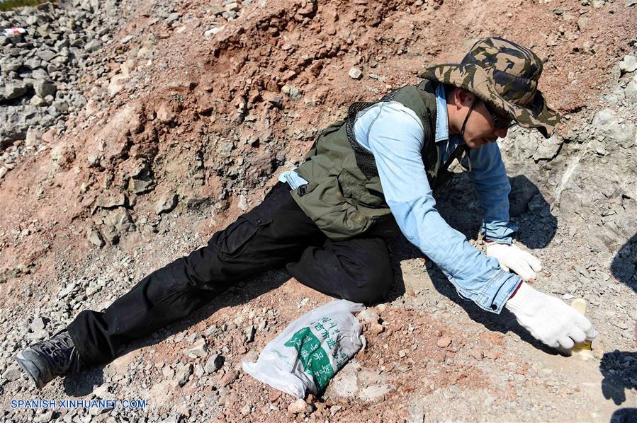 Los paleontólogos dijeron que los fósiles excavados en la provincia de Jilin podrían ser huesos de dinosaurios que vivieron hace más de 100 millones de años. 