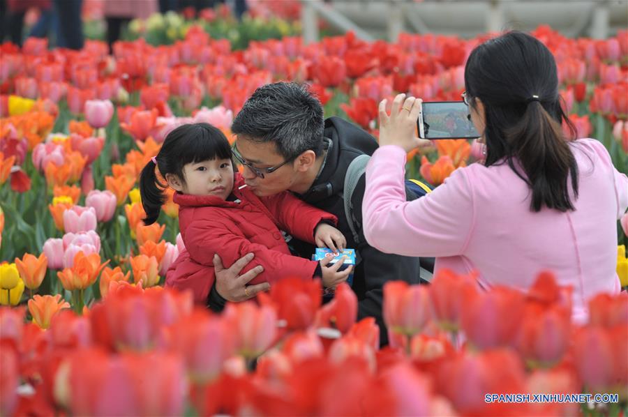 (2)CHINA-HUNAN-MEDIO AMBIENTE-FLORA