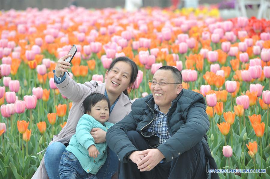 (5)CHINA-HUNAN-MEDIO AMBIENTE-FLORA