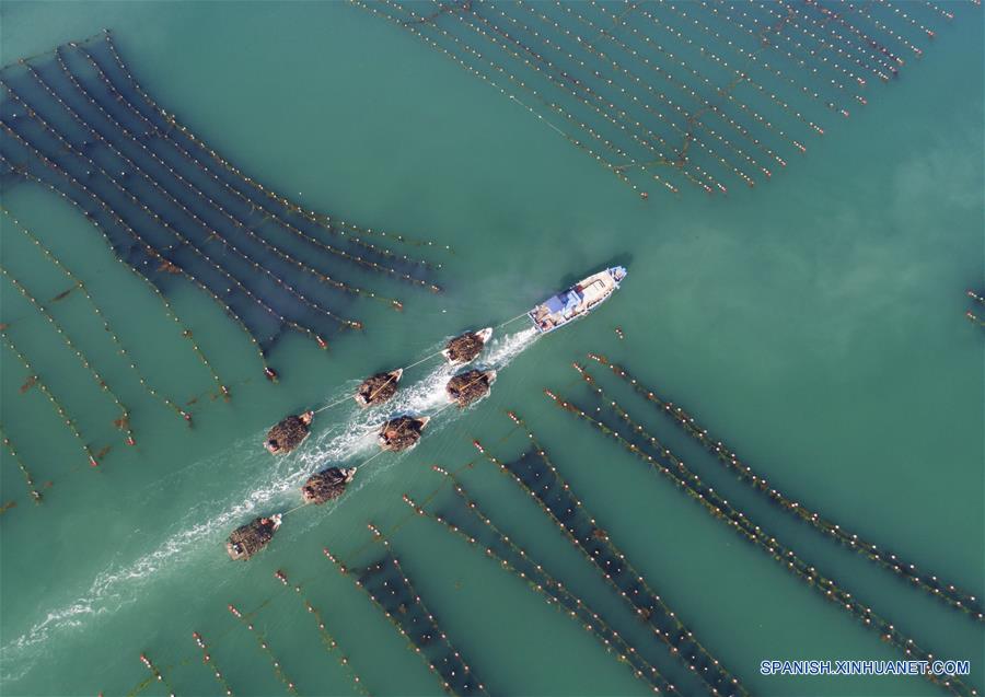 (4)IMAGEN DE LA SEMANA/CHINA
