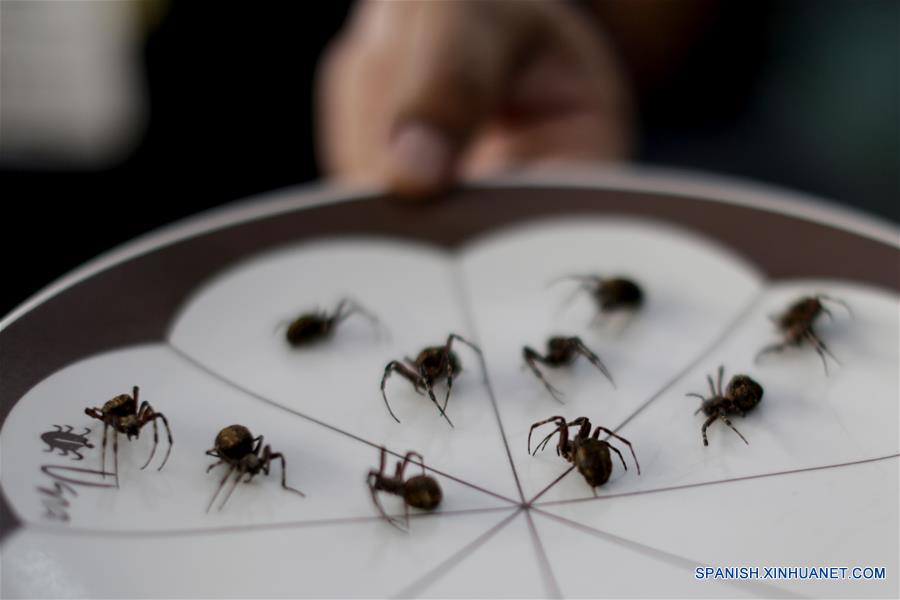 MEXICO-CIUDAD DE MEXICO-INSECTOS COMESTIBLES