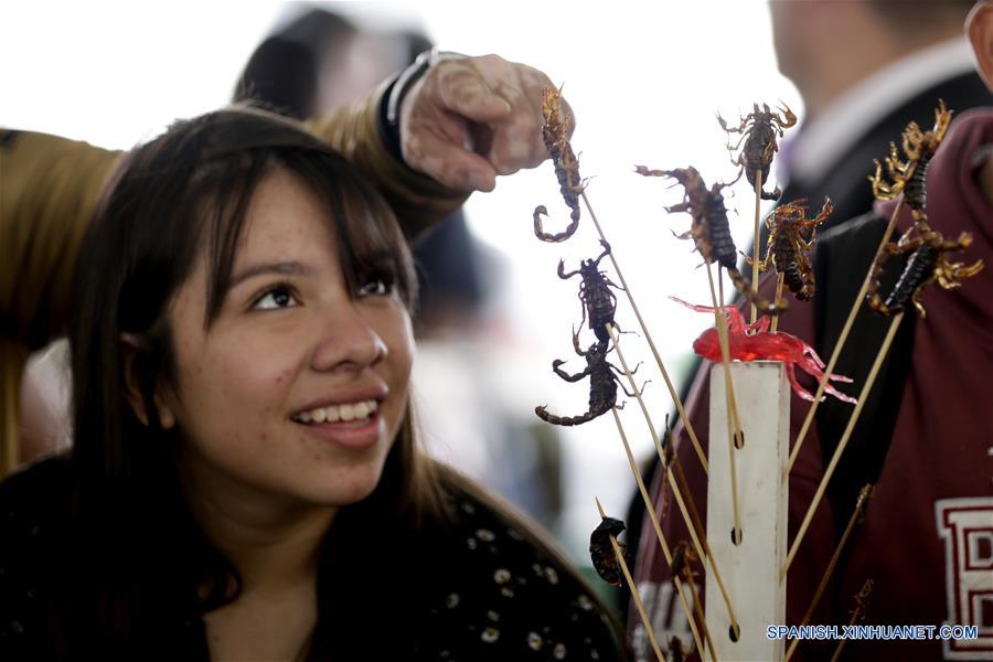 MEXICO-CIUDAD DE MEXICO-INSECTOS COMESTIBLES