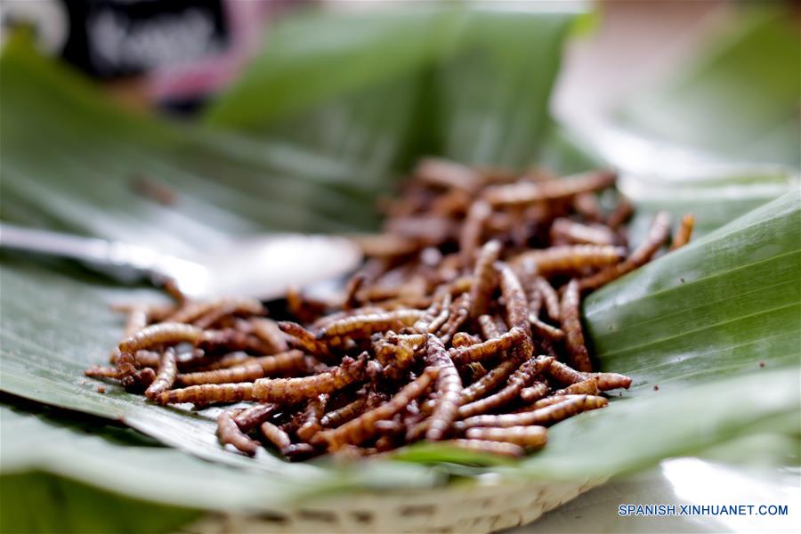 MEXICO-CIUDAD DE MEXICO-INSECTOS COMESTIBLES