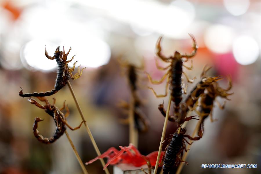 MEXICO-CIUDAD DE MEXICO-INSECTOS COMESTIBLES