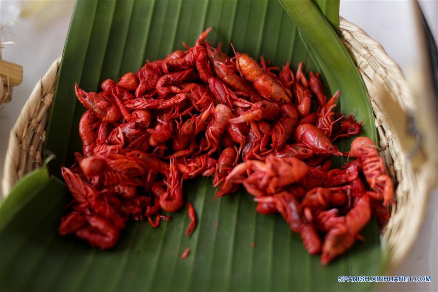 MEXICO-CIUDAD DE MEXICO-INSECTOS COMESTIBLES