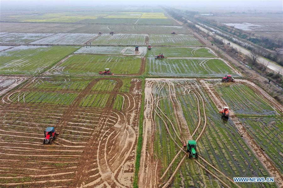 CHINA-JIANGXI-NANCHANG-AGRICULTURA