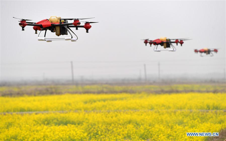 CHINA-JIANGXI-NANCHANG-AGRICULTURA