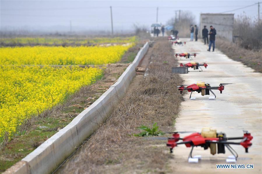 CHINA-JIANGXI-NANCHANG-AGRICULTURA