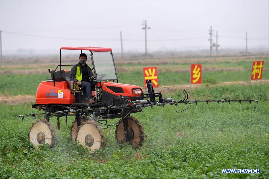 CHINA-JIANGXI-NANCHANG-AGRICULTURA