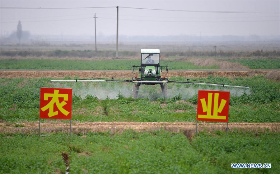 CHINA-JIANGXI-NANCHANG-AGRICULTURA