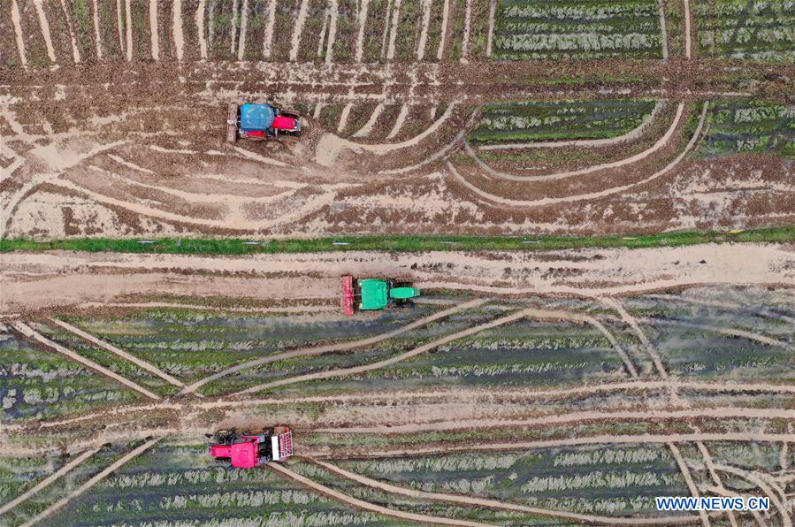 CHINA-JIANGXI-NANCHANG-AGRICULTURA