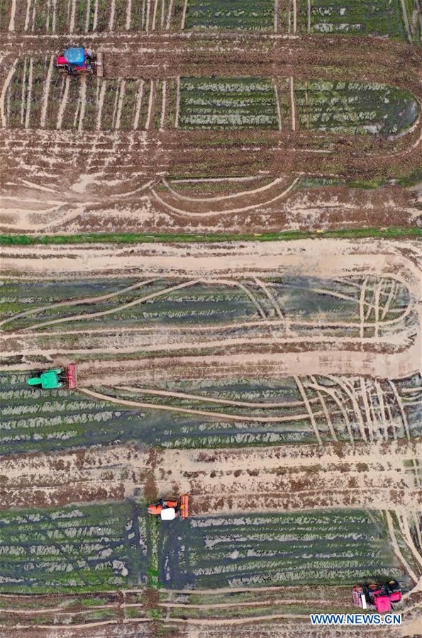 CHINA-JIANGXI-NANCHANG-AGRICULTURA