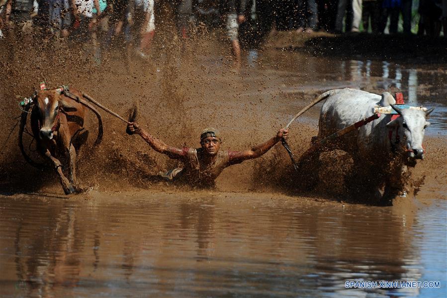 (3)INDONESIA-SUMATRA OCCIDENTAL-SOCIEDAD-EVENTO