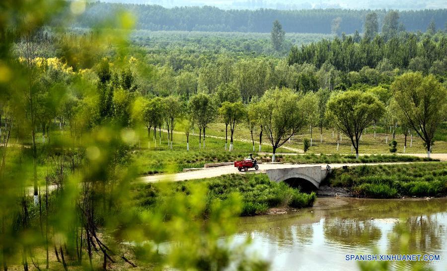 （生态）（1）北京：平原造林打造绿色首都