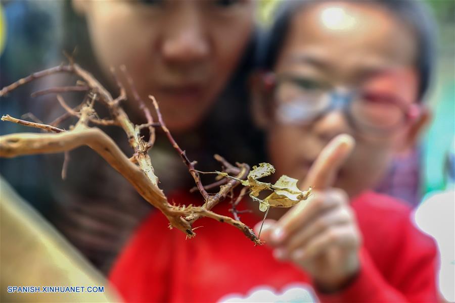 CHINA-BEIJING-INSECTOS-FERIA