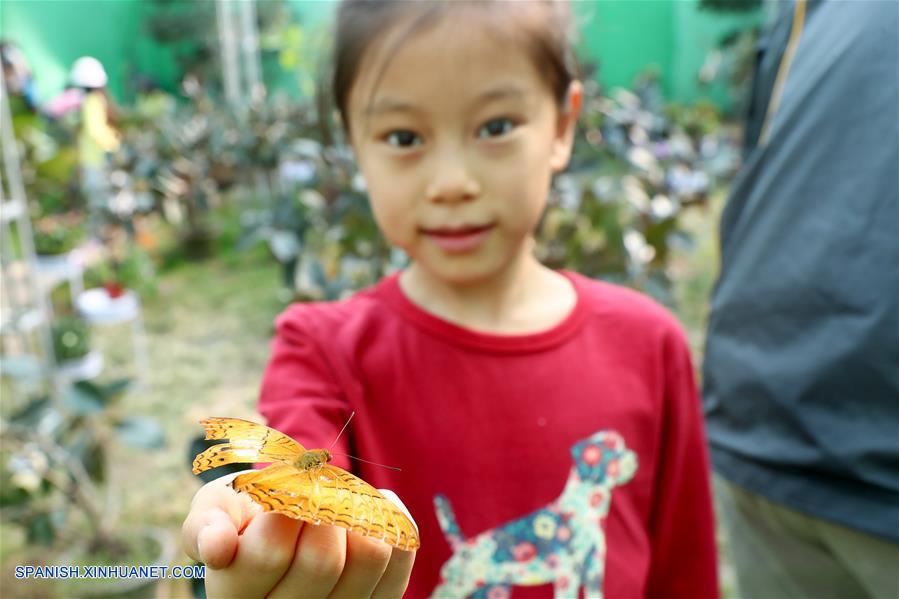 CHINA-BEIJING-INSECTOS-FERIA