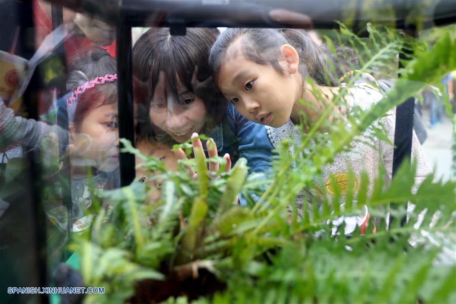 CHINA-BEIJING-INSECTOS-FERIA